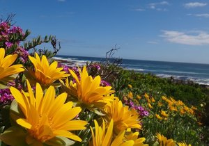 How are you celebrating Earth Hour - Week 12 Weekend Update